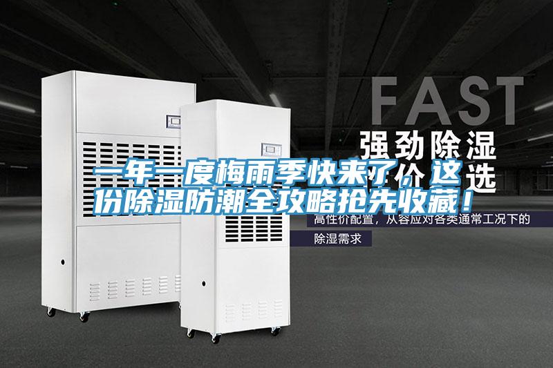 一年一度梅雨季快來了，這份除濕防潮全攻略搶先收藏！