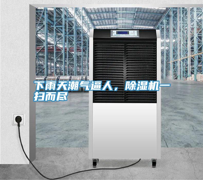 下雨天潮氣逼人，除濕機(jī)一掃而盡