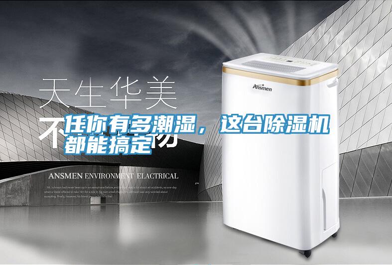 任你有多潮濕，這臺(tái)除濕機(jī)都能搞定