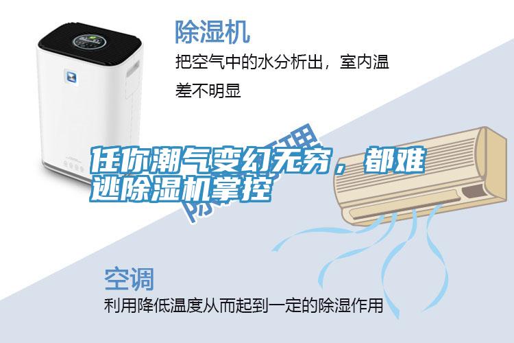 任你潮氣變幻無(wú)窮，都難逃除濕機(jī)掌控