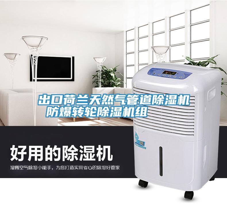 出口荷蘭天然氣管道除濕機 防爆轉(zhuǎn)輪除濕機組