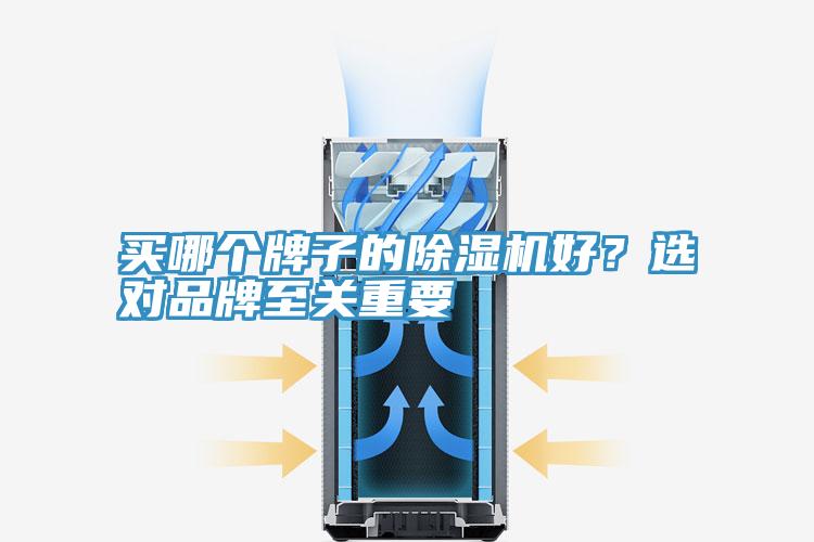 買(mǎi)哪個(gè)牌子的除濕機(jī)好？選對(duì)品牌至關(guān)重要