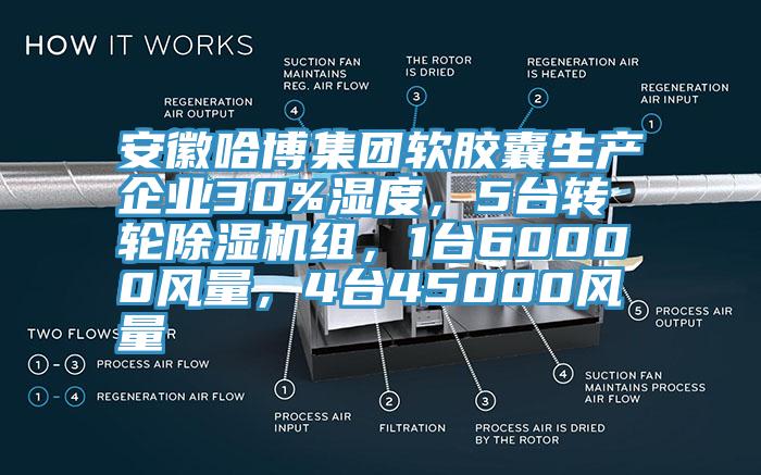 安徽哈博集團(tuán)軟膠囊生產(chǎn)企業(yè)30%濕度，5臺轉(zhuǎn)輪除濕機(jī)組，1臺60000風(fēng)量，4臺45000風(fēng)量