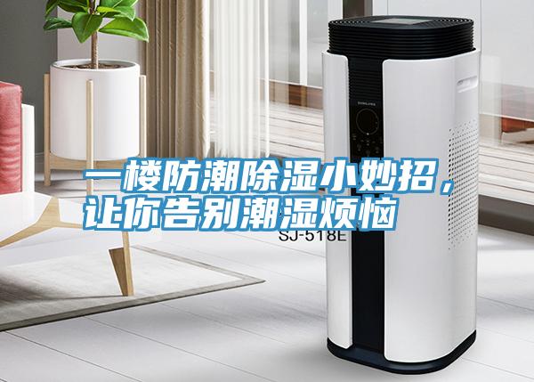 一樓防潮除濕小妙招，讓你告別潮濕煩惱