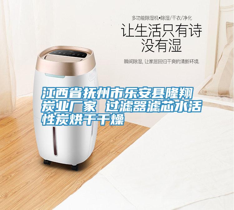 江西省撫州市樂(lè)安縣隆翔炭業(yè)廠家 過(guò)濾器濾芯水活性炭烘干干燥