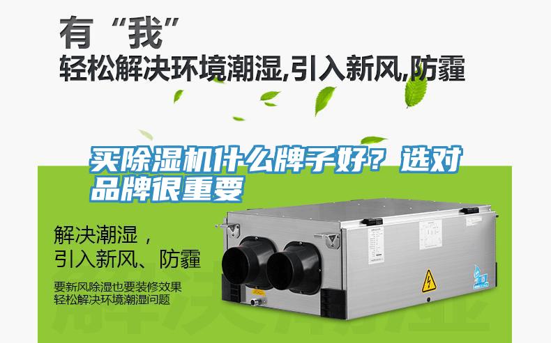 買除濕機什么牌子好？選對品牌很重要