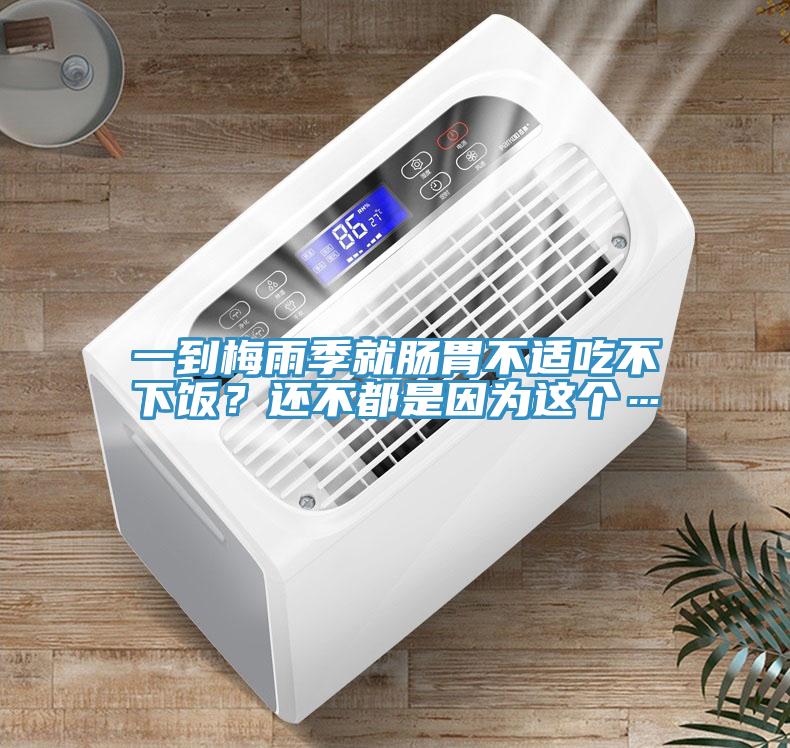 一到梅雨季就腸胃不適吃不下飯？還不都是因為這個…