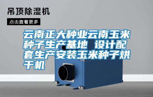 云南正大種業(yè)云南玉米種子生產基地 設計配套生產安裝玉米種子烘干機
