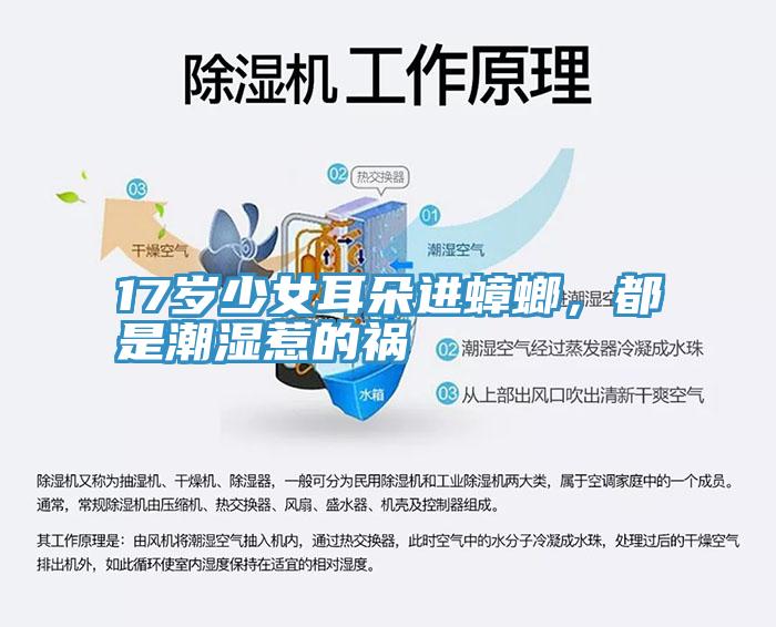 17歲少女耳朵進蟑螂，都是潮濕惹的禍