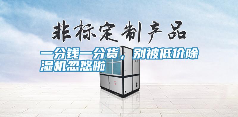一分錢一分貨，別被低價除濕機忽悠啦
