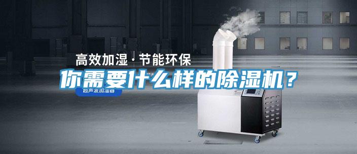 你需要什么樣的除濕機(jī)？