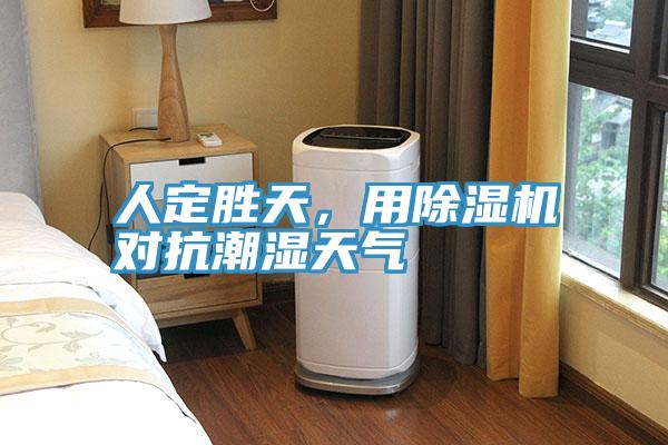 人定勝天，用除濕機對抗潮濕天氣