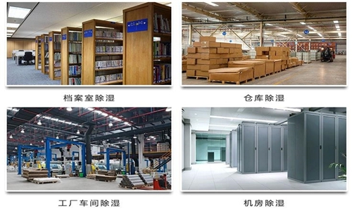 為什么竹筍烘干房需要除濕機(jī)？