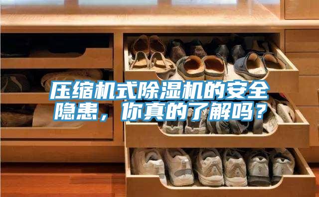 壓縮機(jī)式除濕機(jī)的安全隱患，你真的了解嗎？