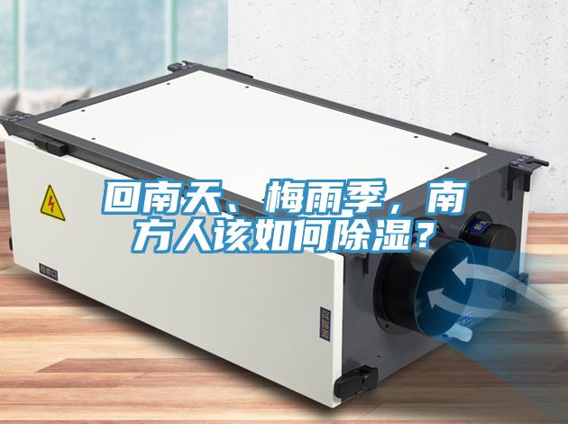 回南天、梅雨季，南方人該如何除濕？