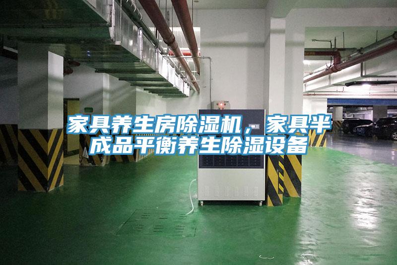 家具養(yǎng)生房除濕機，家具半成品平衡養(yǎng)生除濕設備
