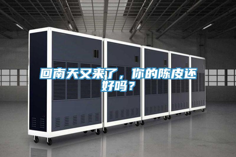 回南天又來了，你的陳皮還好嗎？