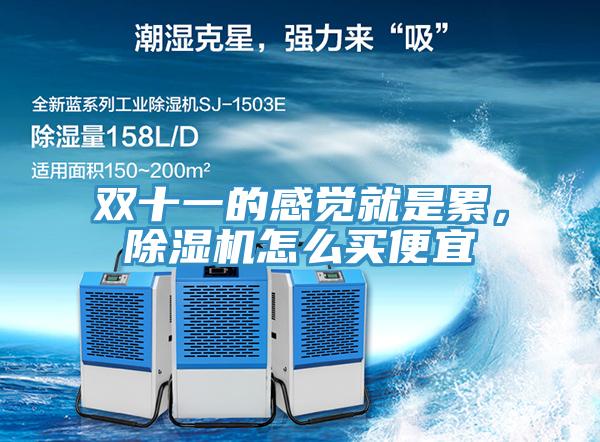 雙十一的感覺就是累，除濕機(jī)怎么買便宜