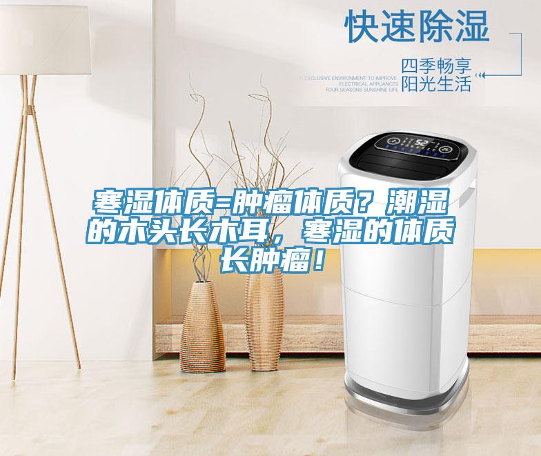 寒濕體質(zhì)=腫瘤體質(zhì)？潮濕的木頭長木耳，寒濕的體質(zhì)長腫瘤！