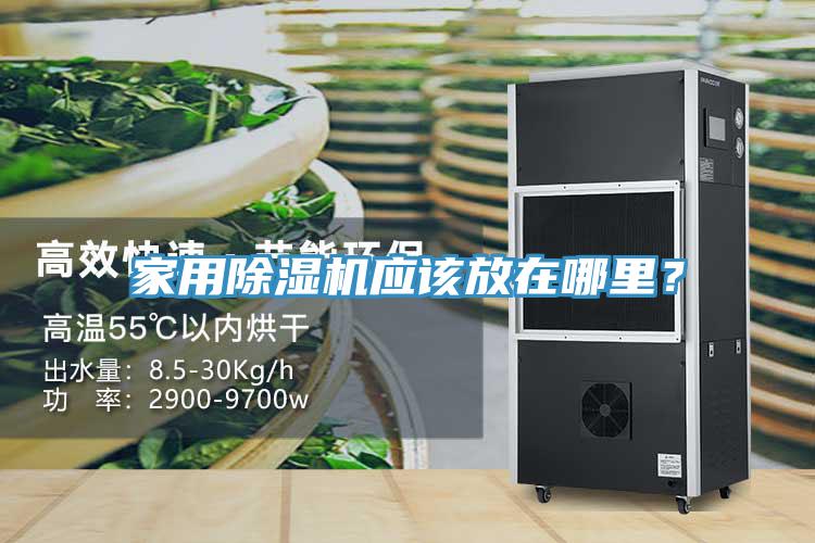家用除濕機應(yīng)該放在哪里？