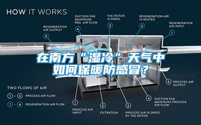 在南方“濕冷”天氣中如何保暖防感冒？
