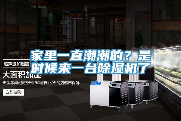 家里一直潮潮的？是時(shí)候來一臺(tái)除濕機(jī)了