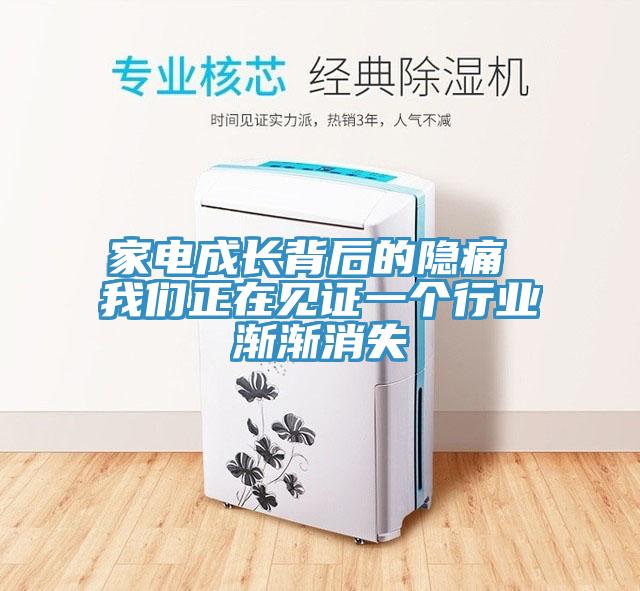 家電成長(zhǎng)背后的隱痛 我們正在見(jiàn)證一個(gè)行業(yè)漸漸消失