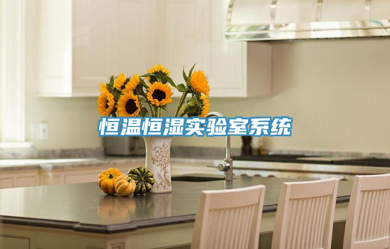 恒溫恒濕實驗室系統(tǒng)