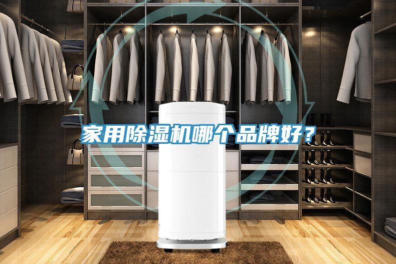家用除濕機(jī)哪個品牌好？