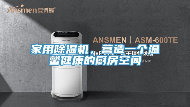 家用除濕機，營造一個溫馨健康的廚房空間