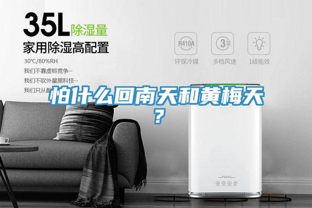 怕什么回南天和黃梅天？