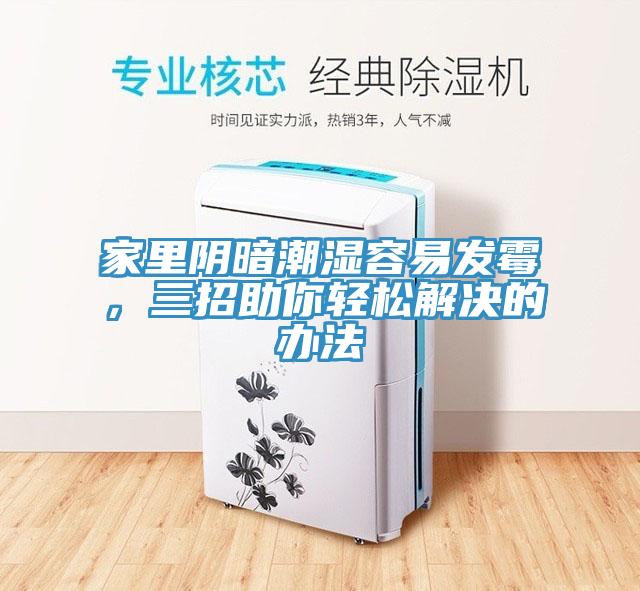 家里陰暗潮濕容易發(fā)霉，三招助你輕松解決的辦法