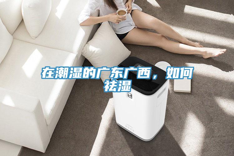 在潮濕的廣東廣西，如何祛濕