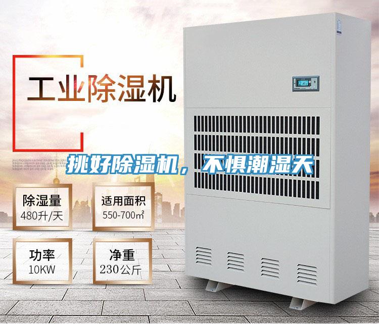 挑好除濕機，不懼潮濕天
