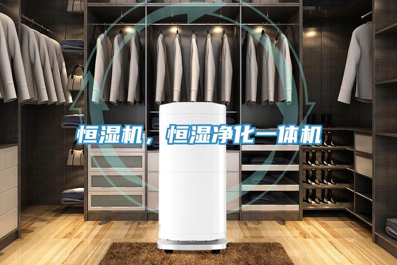 恒濕機(jī)，恒濕凈化一體機(jī)