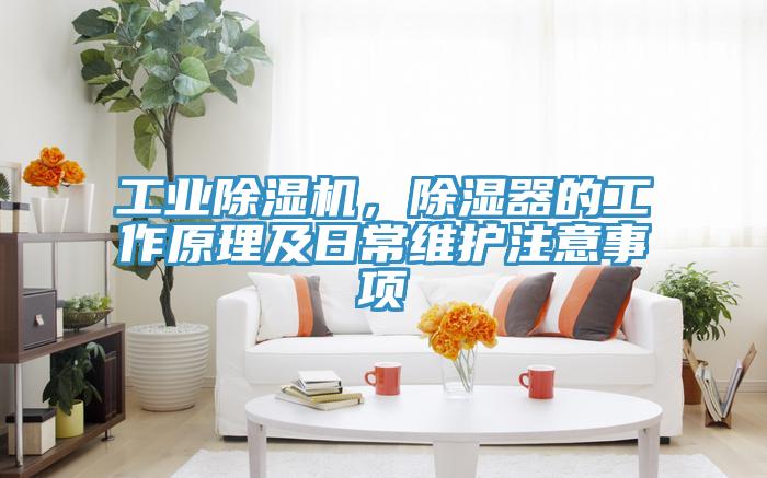工業(yè)除濕機(jī)，除濕器的工作原理及日常維護(hù)注意事項