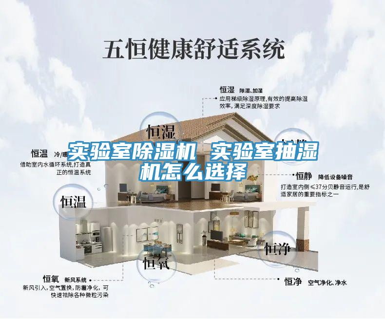 實(shí)驗(yàn)室除濕機(jī) 實(shí)驗(yàn)室抽濕機(jī)怎么選擇