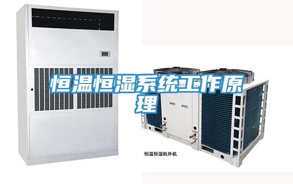 恒溫恒濕系統(tǒng)工作原理