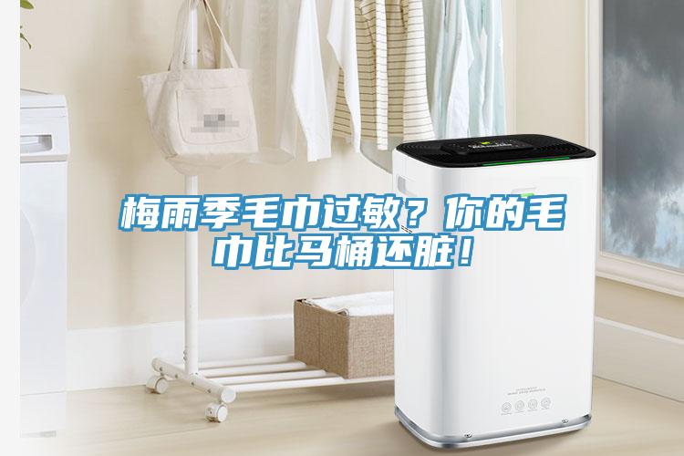 梅雨季毛巾過(guò)敏？你的毛巾比馬桶還臟！