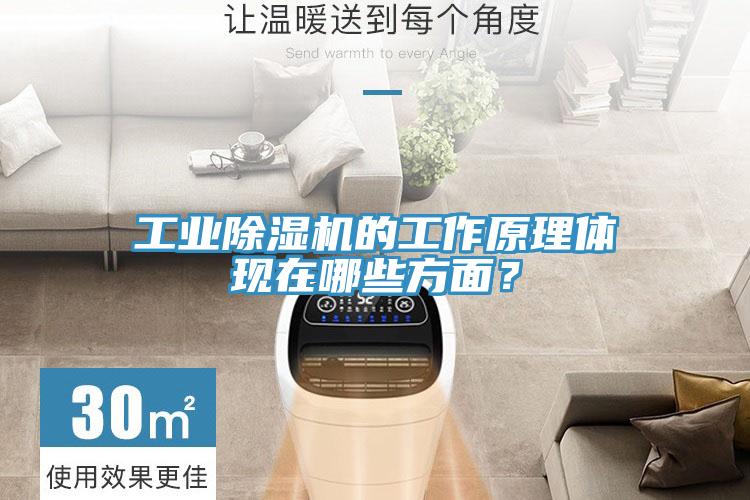 工業(yè)除濕機(jī)的工作原理體現(xiàn)在哪些方面？