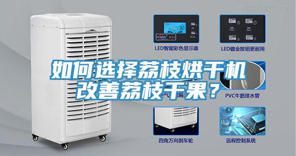 如何選擇荔枝烘干機改善荔枝干果？