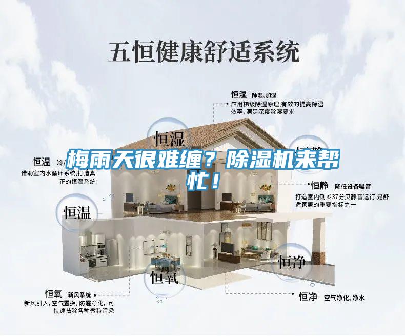 梅雨天很難纏？除濕機來幫忙！
