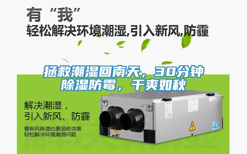 拯救潮濕回南天，30分鐘除濕防霉，干爽如秋