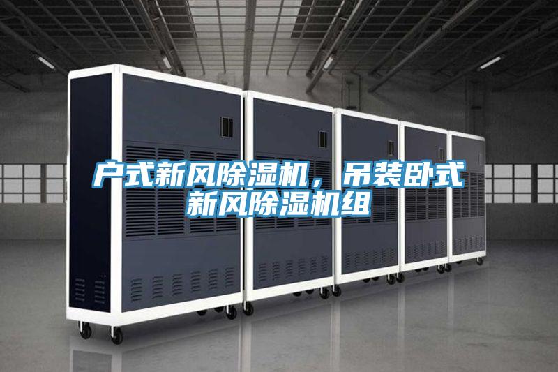 戶式新風(fēng)除濕機，吊裝臥式新風(fēng)除濕機組