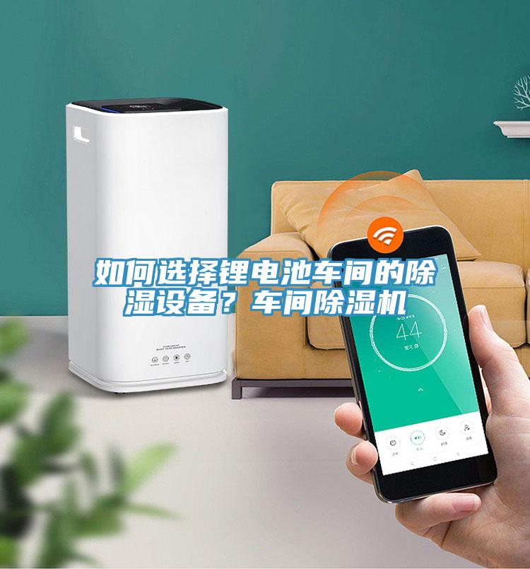 如何選擇鋰電池車(chē)間的除濕設(shè)備？車(chē)間除濕機(jī)