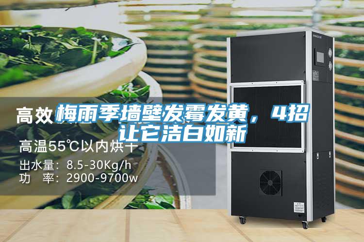 梅雨季墻壁發(fā)霉發(fā)黃，4招讓它潔白如新