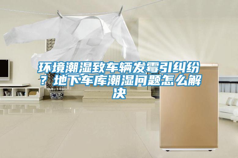 環(huán)境潮濕致車輛發(fā)霉引糾紛？地下車庫潮濕問題怎么解決
