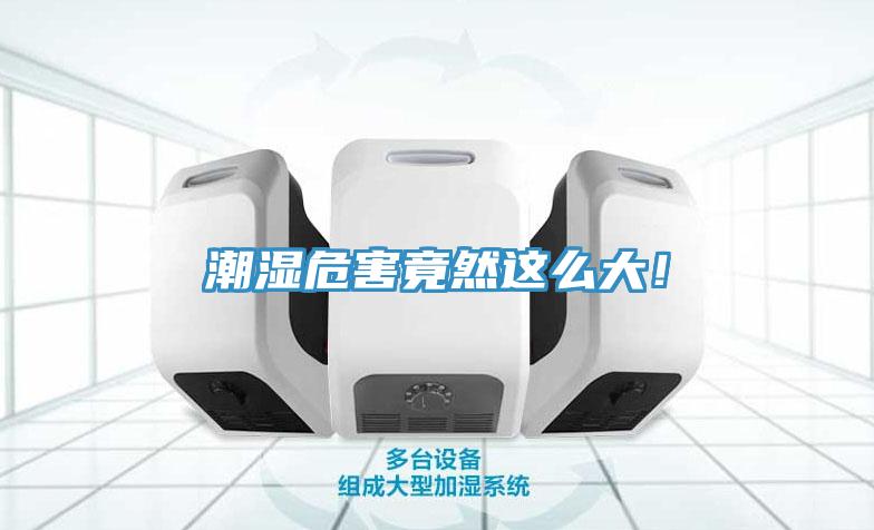 潮濕危害竟然這么大！