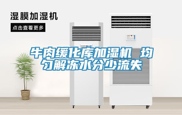 牛肉緩化庫(kù)加濕機(jī) 均勻解凍水分少流失