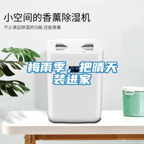 梅雨季，把晴天裝進(jìn)家